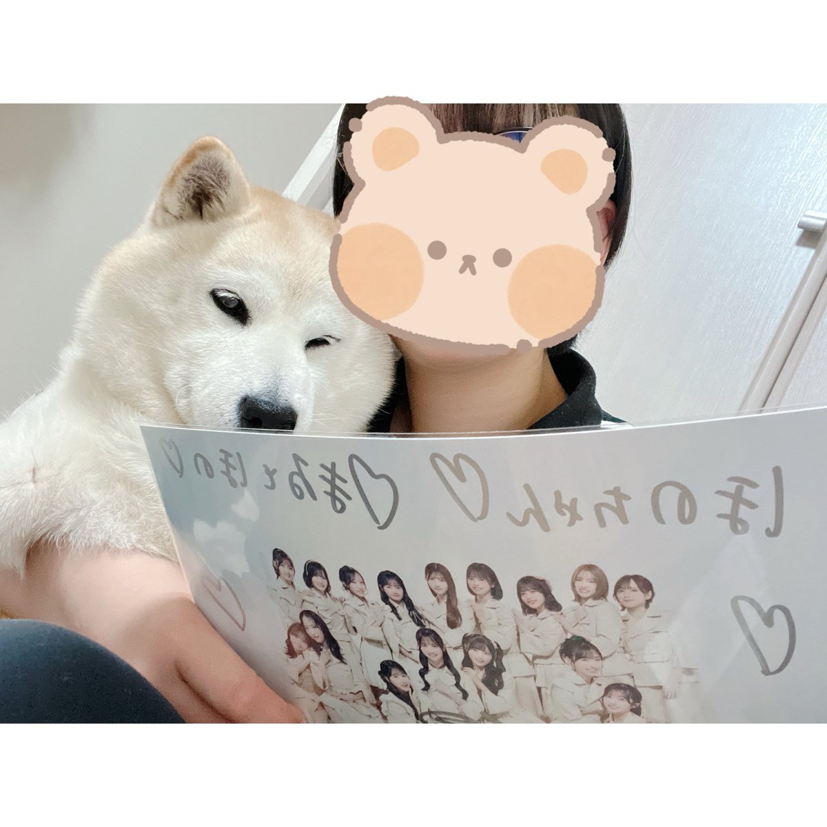 ほのか tweet media