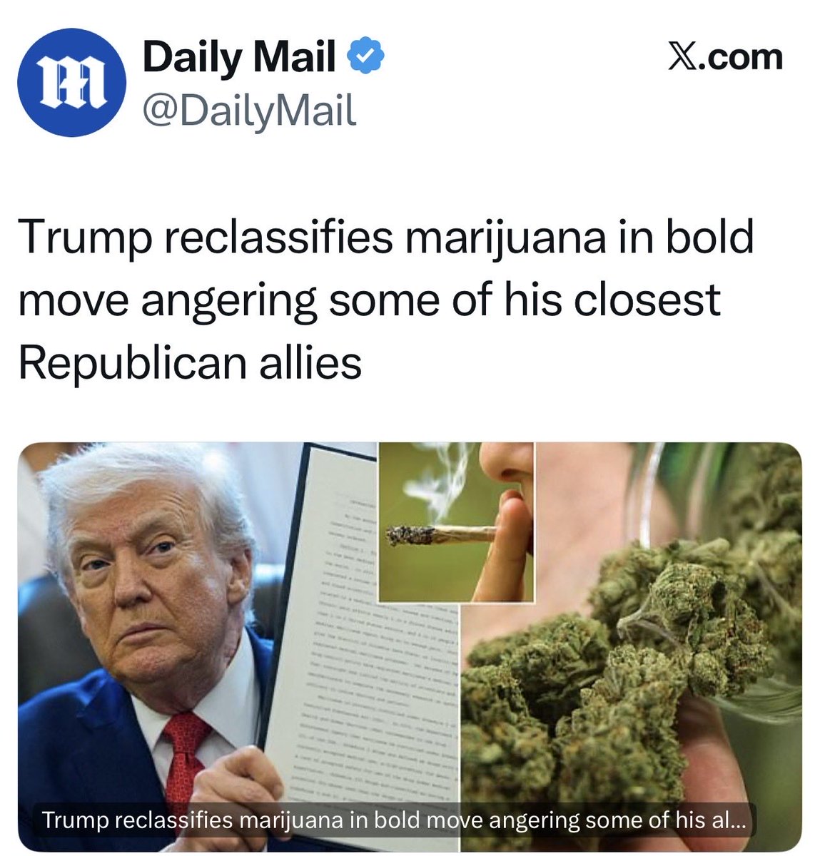 Steve Cortes tweet media