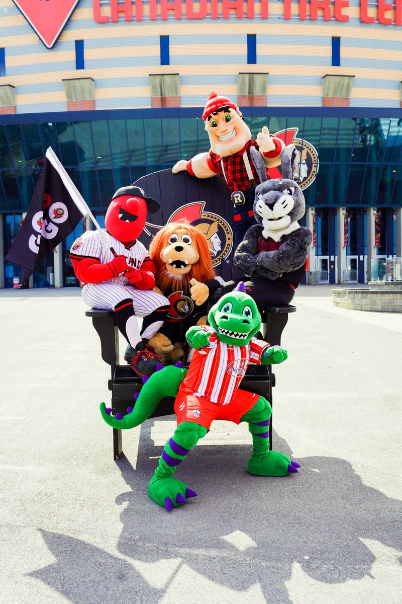 REAL_Spartacat's tweet photo. Photo dump from a surprise “furrriendly” visit yesterday. #gosensgo #goOttawago #Allheartallin https://t.co/TuoYztqIx3
