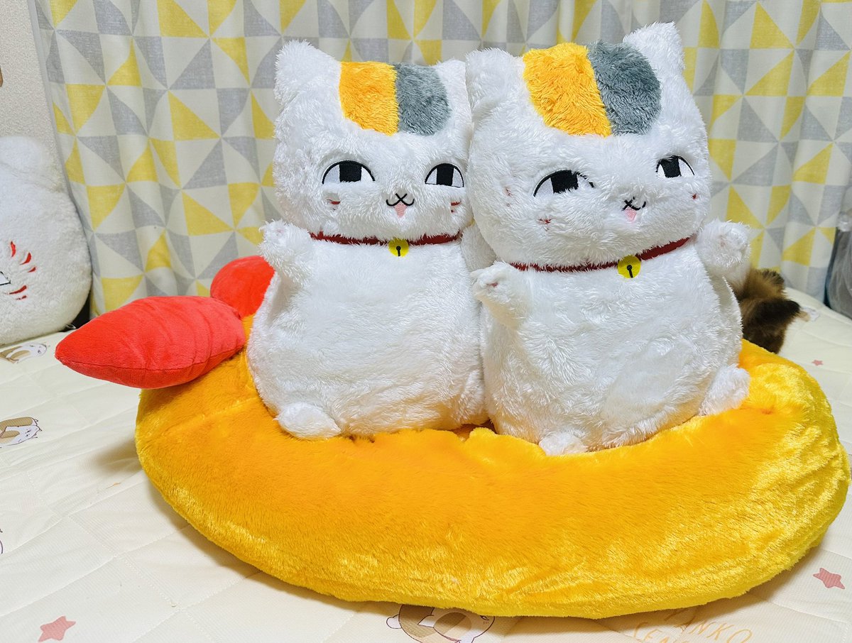 憂鬱うさぎ。 tweet media