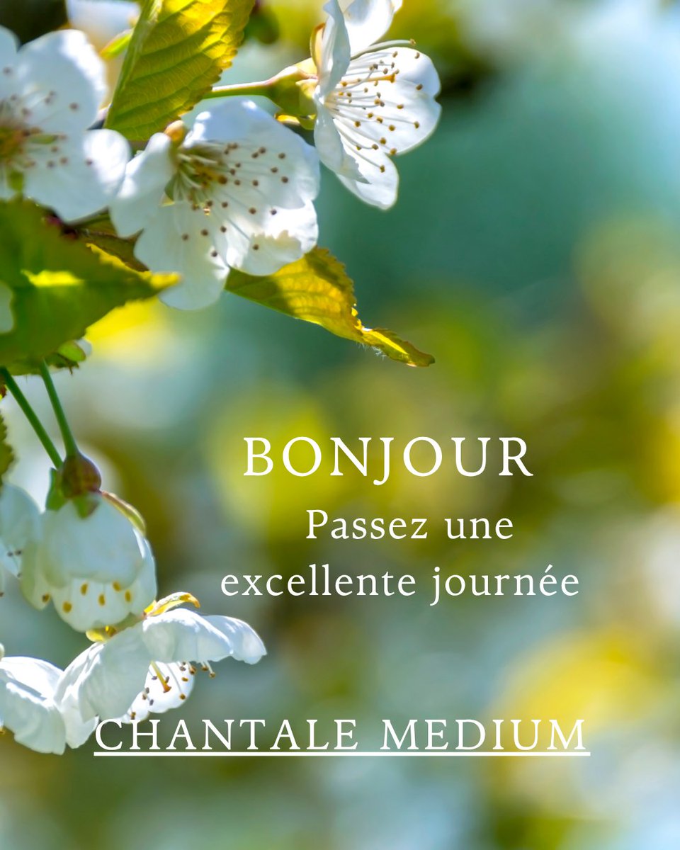 Passez une excellente soirée✨
Besoin de réponses immédiates pour votre avenir ? Profitez d'une guidance sincère sans attendre. 🕊️
📞 Voyance (Sans CB) : 08 92 68 23 88
📞 Audiotel France : 08 90 30 52 00 (0,40€/min)
📞 DOM/TOM : 08 92 70 05 77
🔗 Site : chantalemedium.com