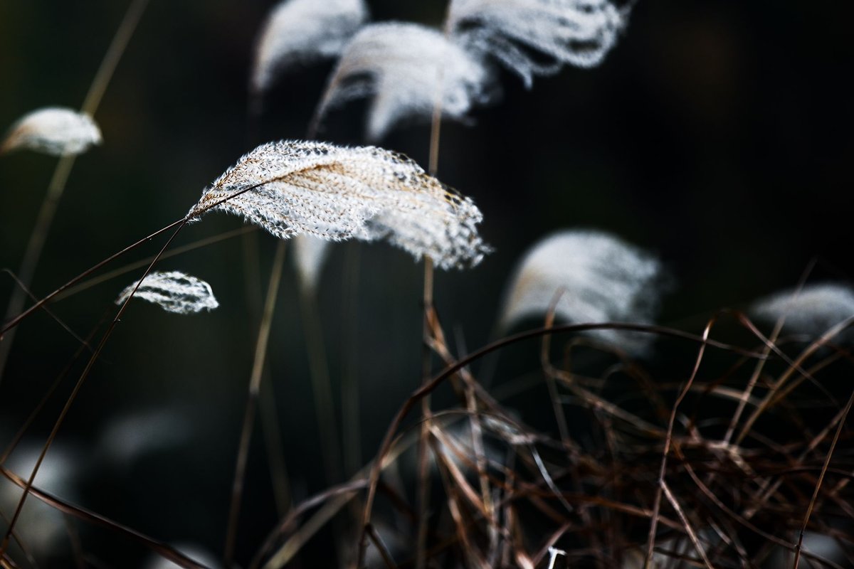 Sharad Nikam tweet media