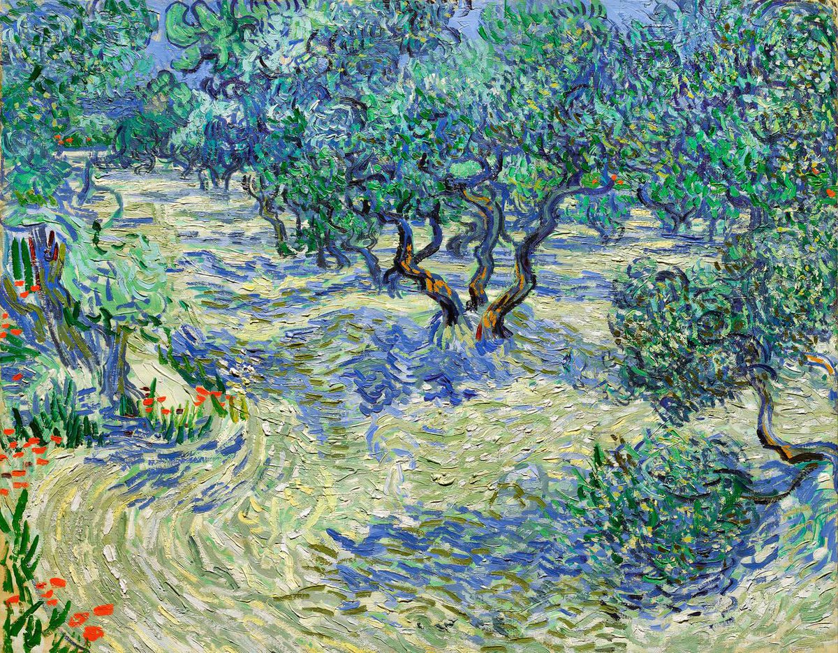 Vincent Van Gogh, Olive Orchard 1889 
#art #arts #finearts #painter