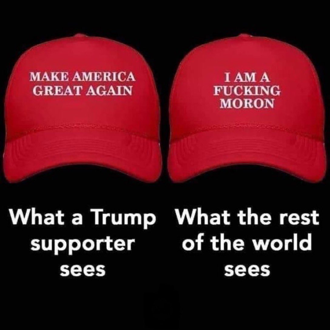 RealAgitator's tweet photo. @C_3C_3 @kimberleereigns You are dumber than dogshit. So, a typical right-winger then! https://t.co/DCwXTcwYlh