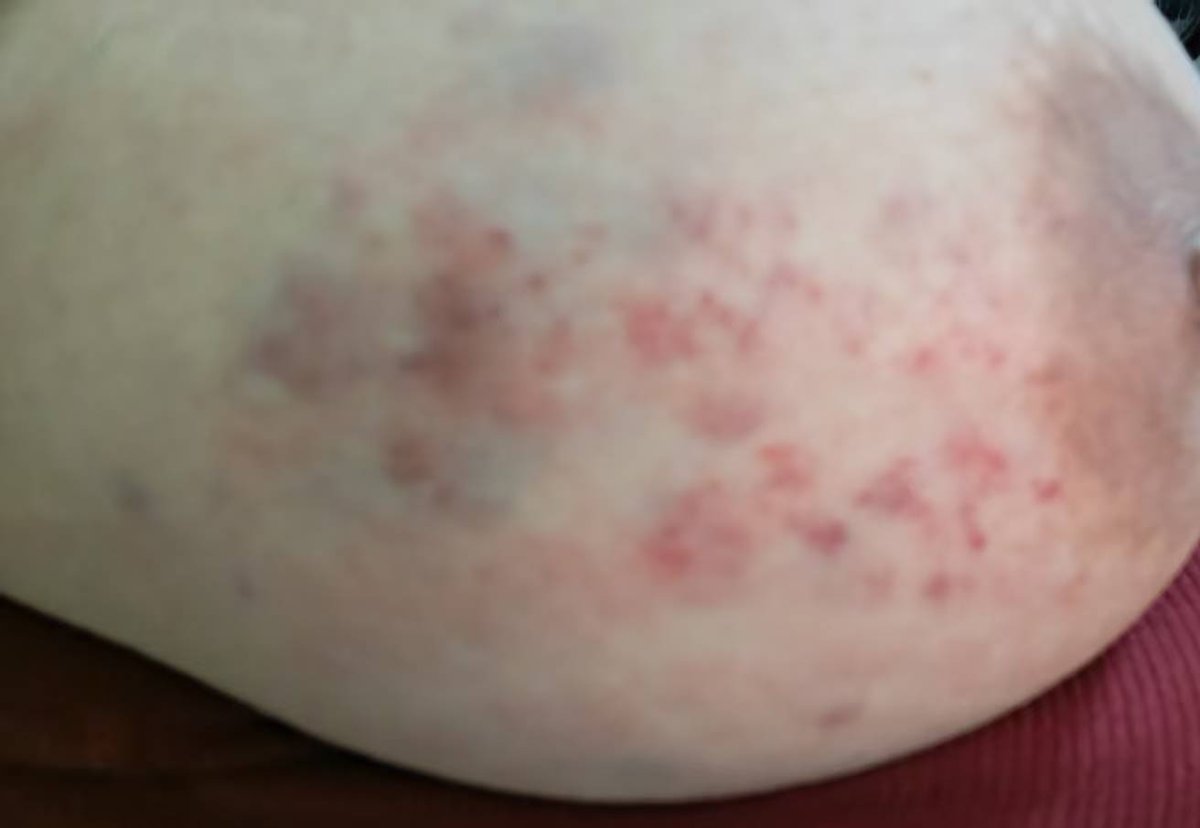 这一点都不河狸 tweet media