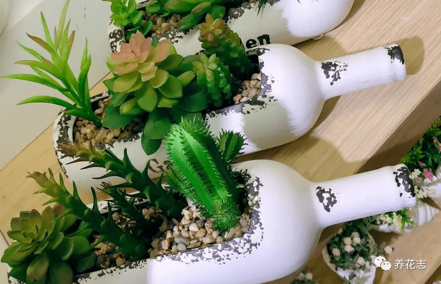 Jacob Stephens tweet media