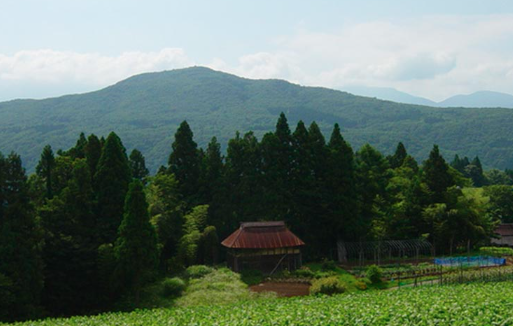 おーるじゃんる🎌 tweet media