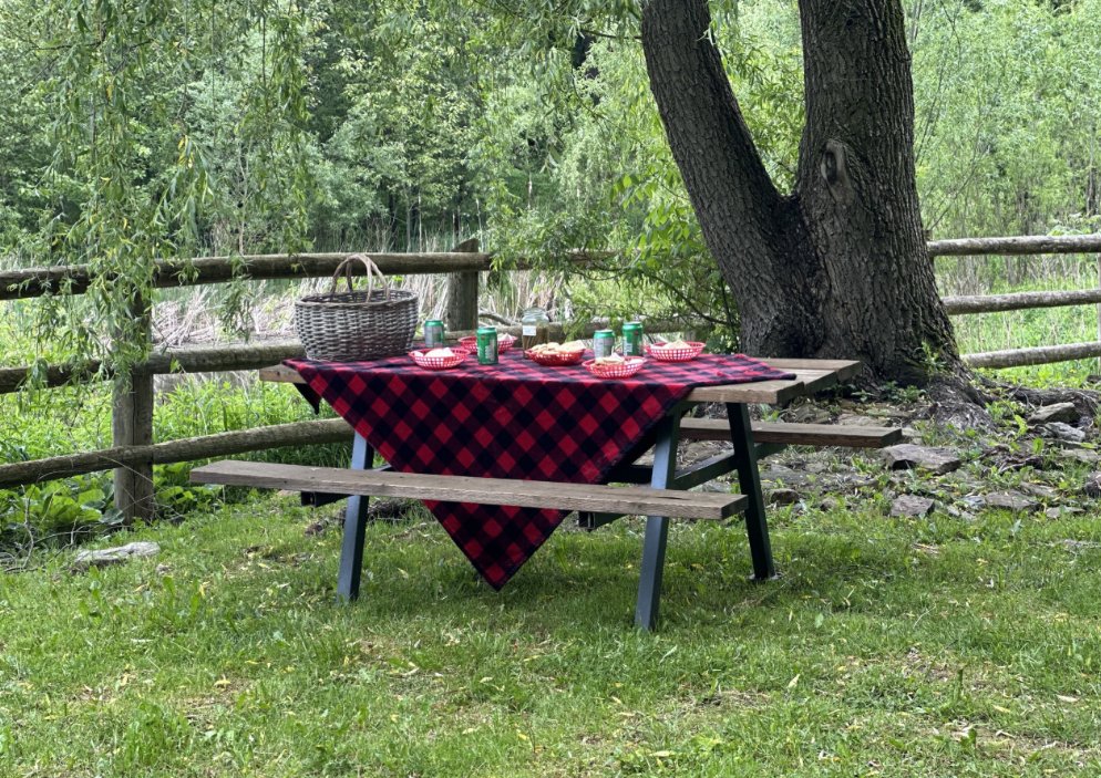 CVC_CA's tweet image. Happy National #PicnicDay! 🍉🧺 

Spring is in full swing and what better way to celebrate than with an outdoor picnic. Where's your favorite place to #picnic in the Credit River Watershed? Share with us!  
📍 Terra Cotta Conservation Area