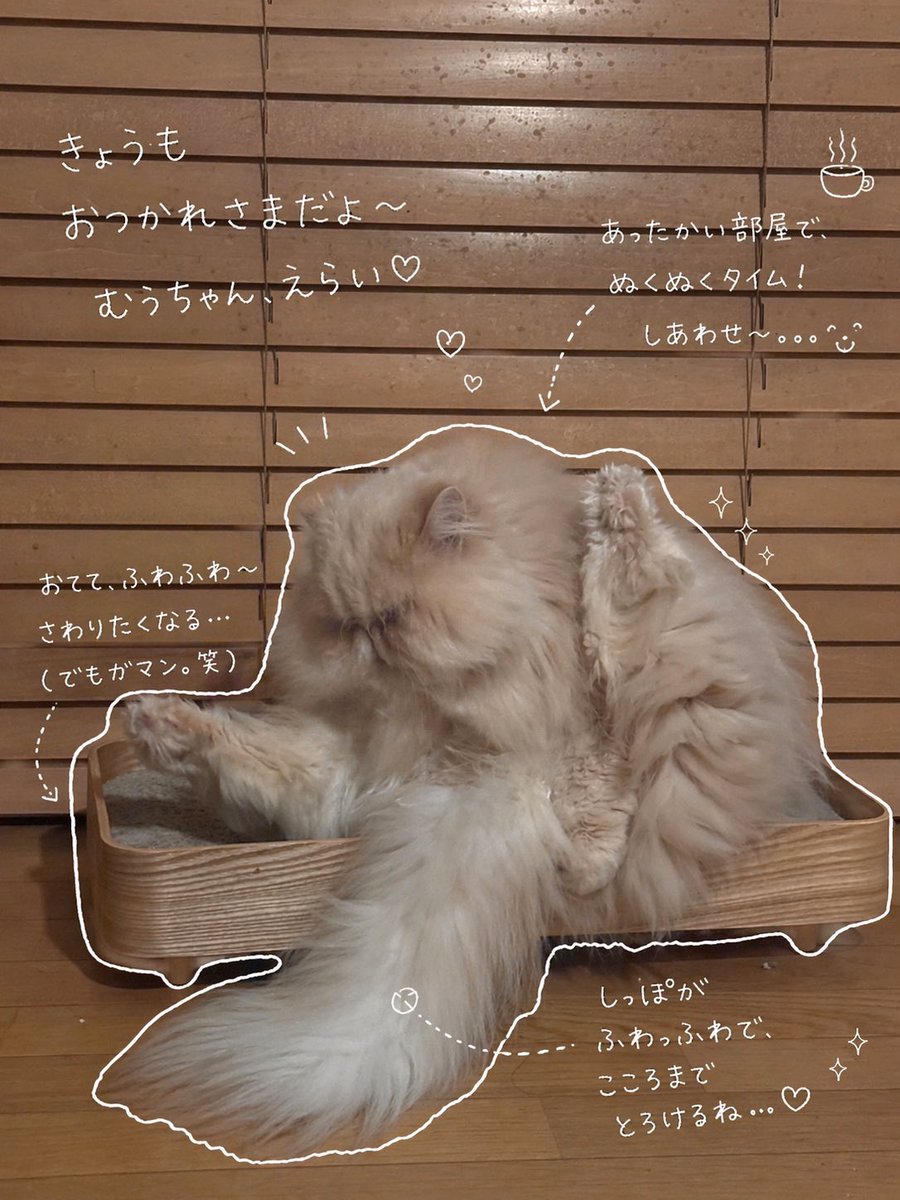 むうとゆぱ tweet media