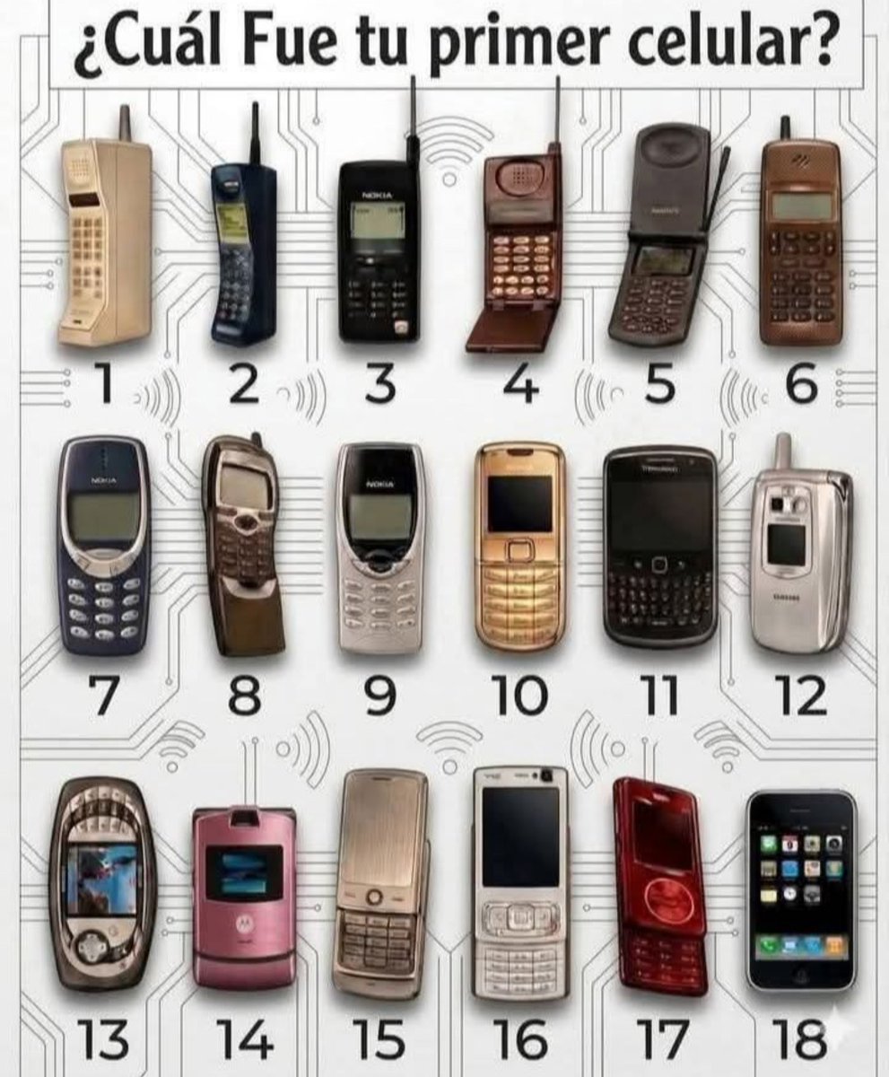 SandraQuiñones tweet media