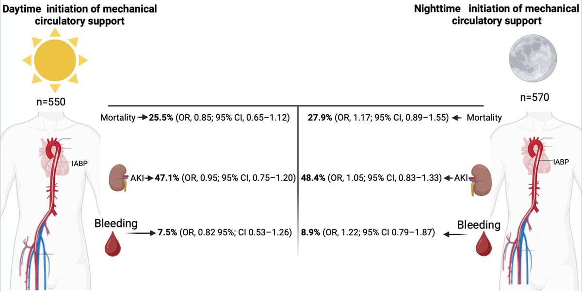 MyJSCAI's tweet image. 🗣️📢Day vs Night Initiation of #MCS at #SCAI2026 in #JSCAI 

Night-time initiation of #MechanicalCirculatorySupport was not associated with higher mortality, complications, or delays in care, suggesting consistent ICU readiness around the clock. 

🔗 jscai.org/article/S2772-…
