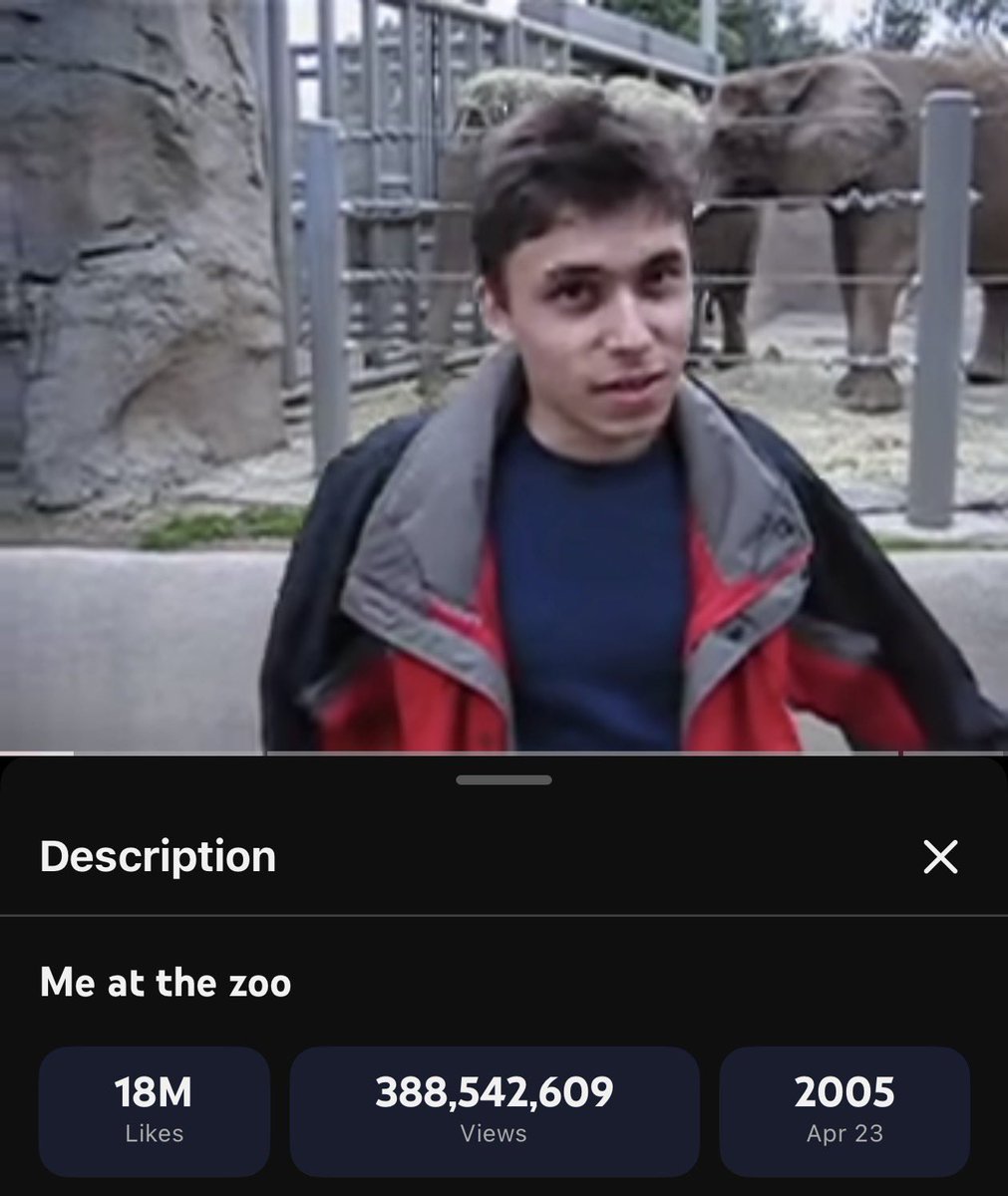 samsheffer's tweet photo. happy 21st birthday Me at the zoo https://t.co/td4VD93vIx