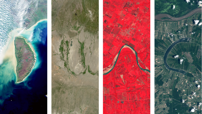 DUNC TCG tweet media