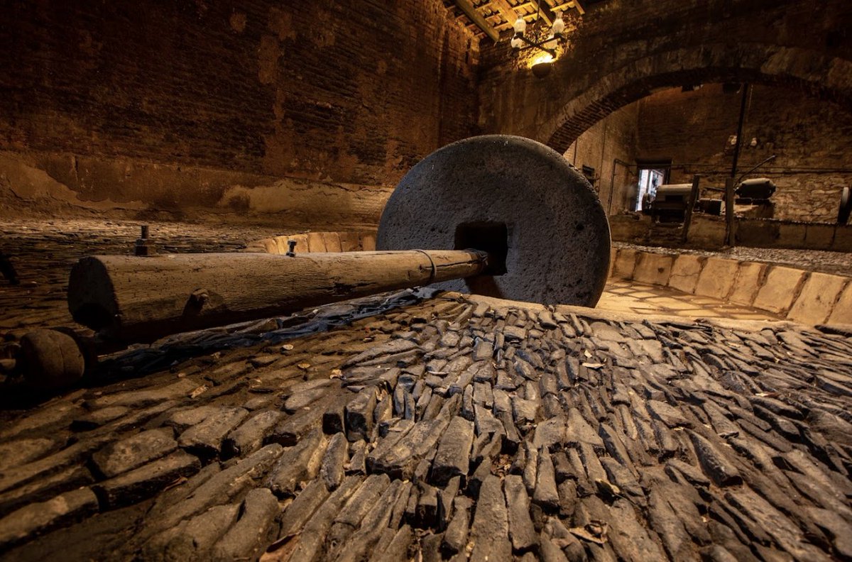 REVISTA / CIENTO UNO ® tweet media