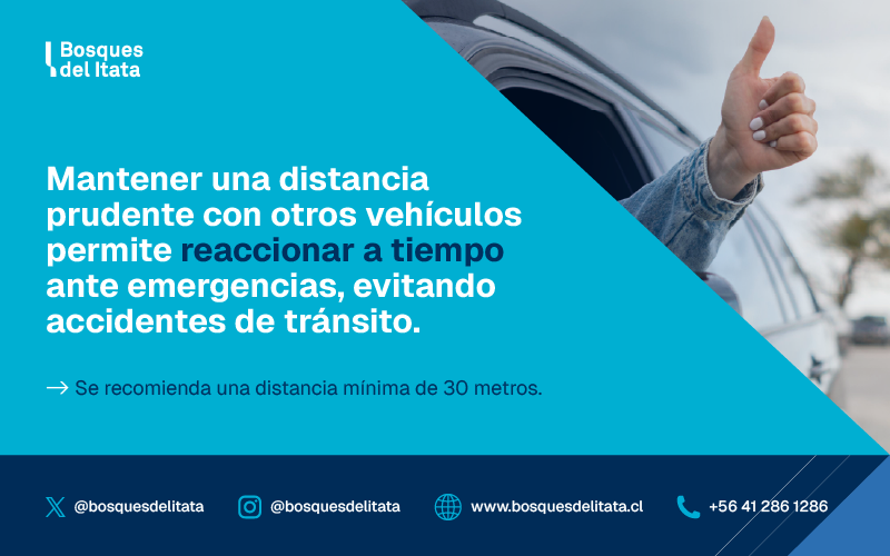 BosquesdelItata tweet media