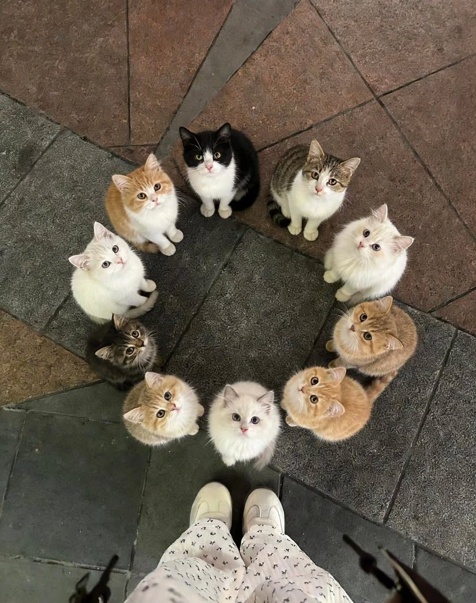 şöyle bir sakinlik tweet media