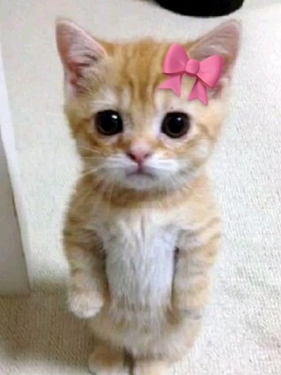 ZoePerspectiva's tweet image. I woke up earlier today. #Progress