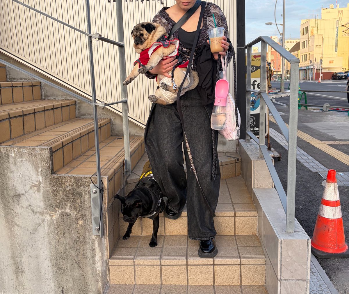 haikara_kitchen's tweet photo. cafe by blue &房総海鮮 KURO 

↑二店舗それぞれのメニューが楽しめる
わんちゃんと一緒専用フロア

「ワンダフルラウンジ」オープン🐶
営業時間11:00-20:00（予約制）

専用外階段から2階へ上がると、わんちゃん連れのお客様のみが利用可能なフロアへ

お電話又はWebからご予約ください
ご予約電話受付時間9:00-21:00
TEL0438-38-3090まで

#ワンダフルラウンジ
#犬同伴OK
#犬と行ける店