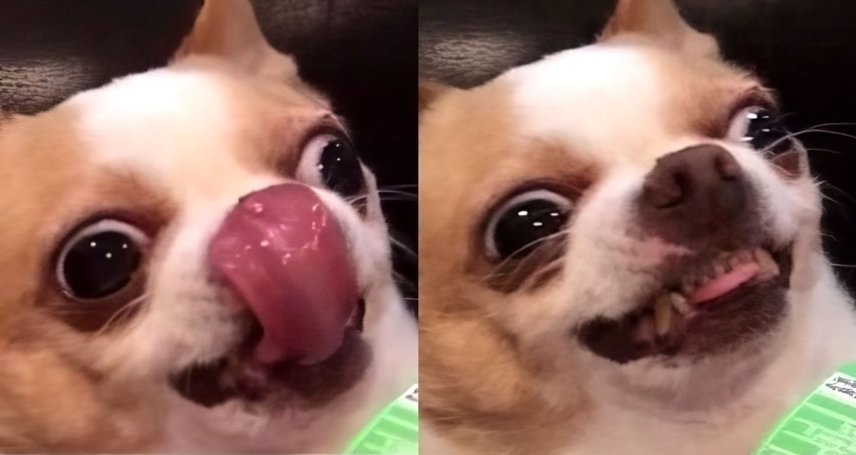 Anna | AtlantisDEX 🔱 tweet media