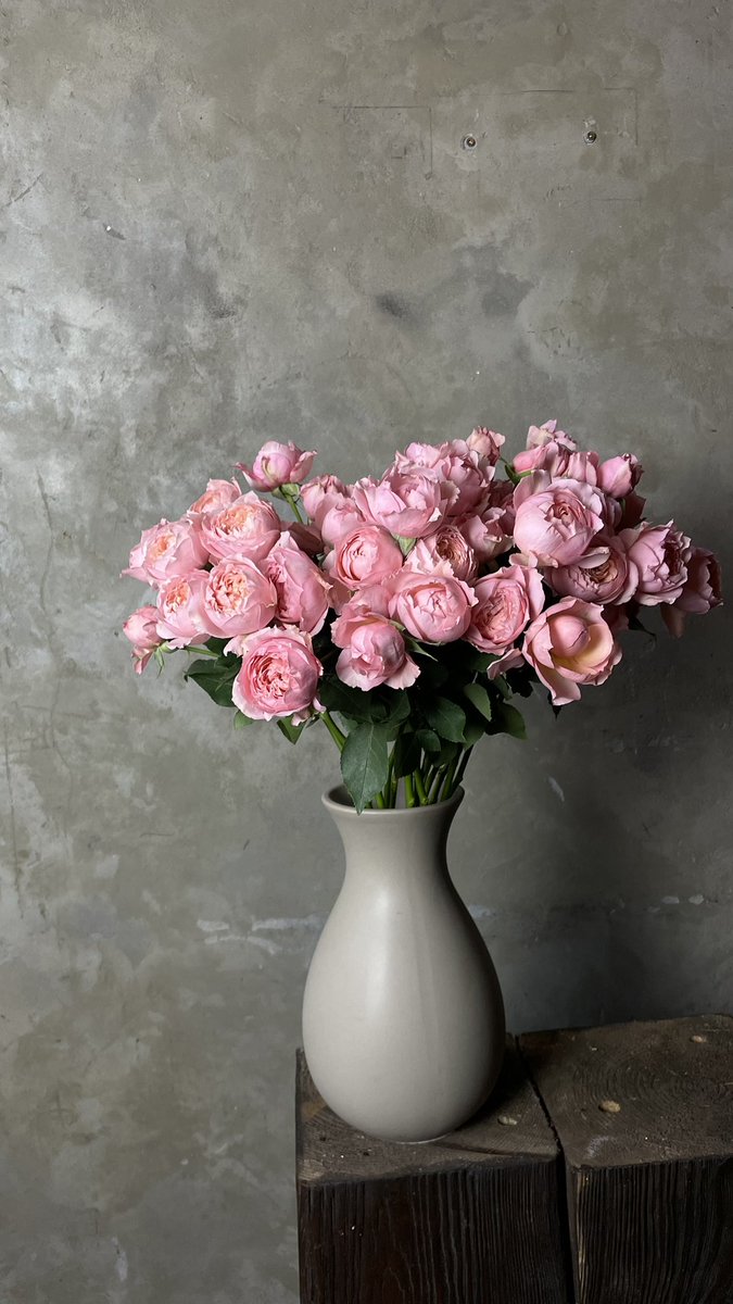 Даша з Херсона з трьома псами і з Данєю tweet media