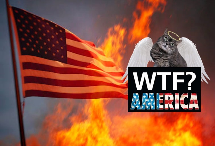 ampincivero's tweet image. 💯 #Impeach #Imprison #ReleaseAllTheEpsteinFiles
Stop protecting rich monsters. They need to be held accountable. Why are American standards so low?