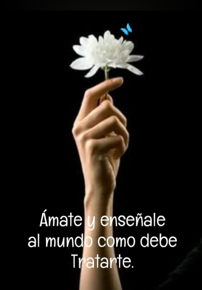 Letizia Medina Sánch tweet media