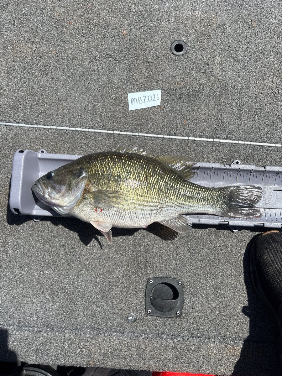 CodyAlanBlack tweet media