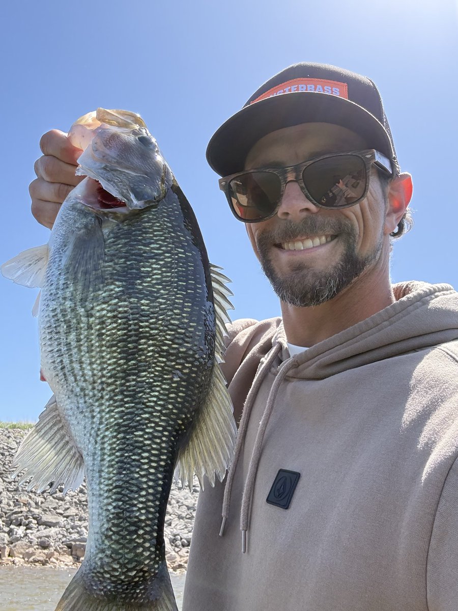 CodyAlanBlack tweet media