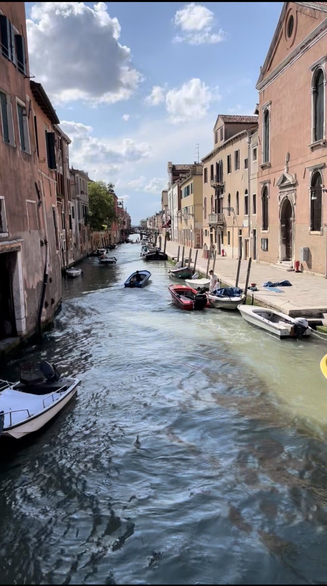 Paola Livia B. tweet media