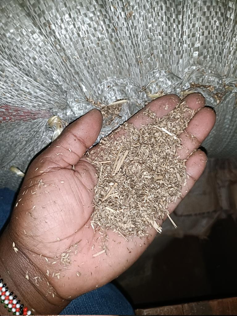 Ukiwa na kama two acres mahali imezubaa lima alafu unitafute nikuuzie bomarhode seeds,upande nyasi ukue unaharvest thrice a year. Hauezi kosa pocket money hapo