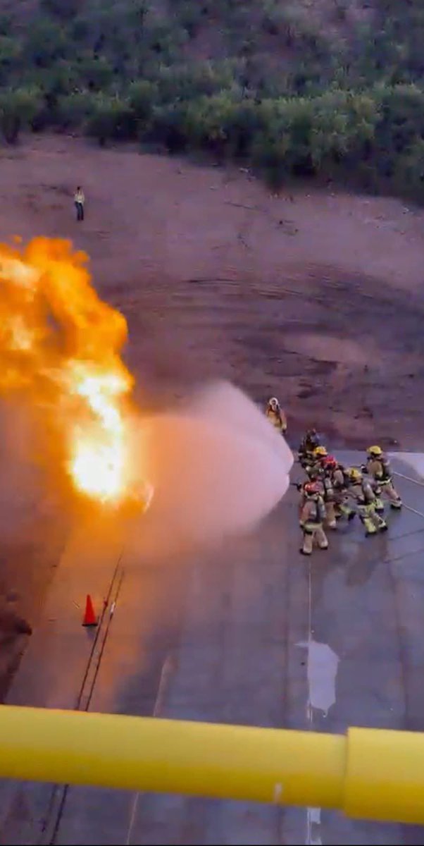 Protección Civil Sonora tweet media