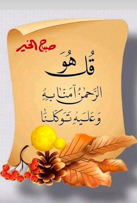 حمود الكندي tweet media