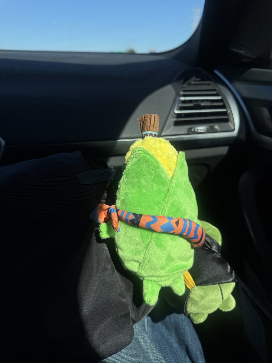 ついにファンフェス！光の戦士、行ってきます✨