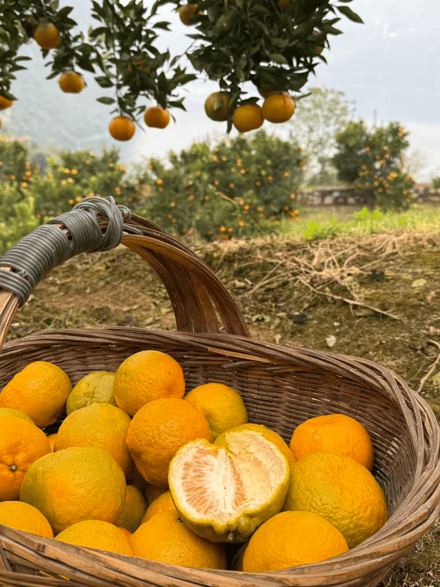 Leeroys Assistant tweet media