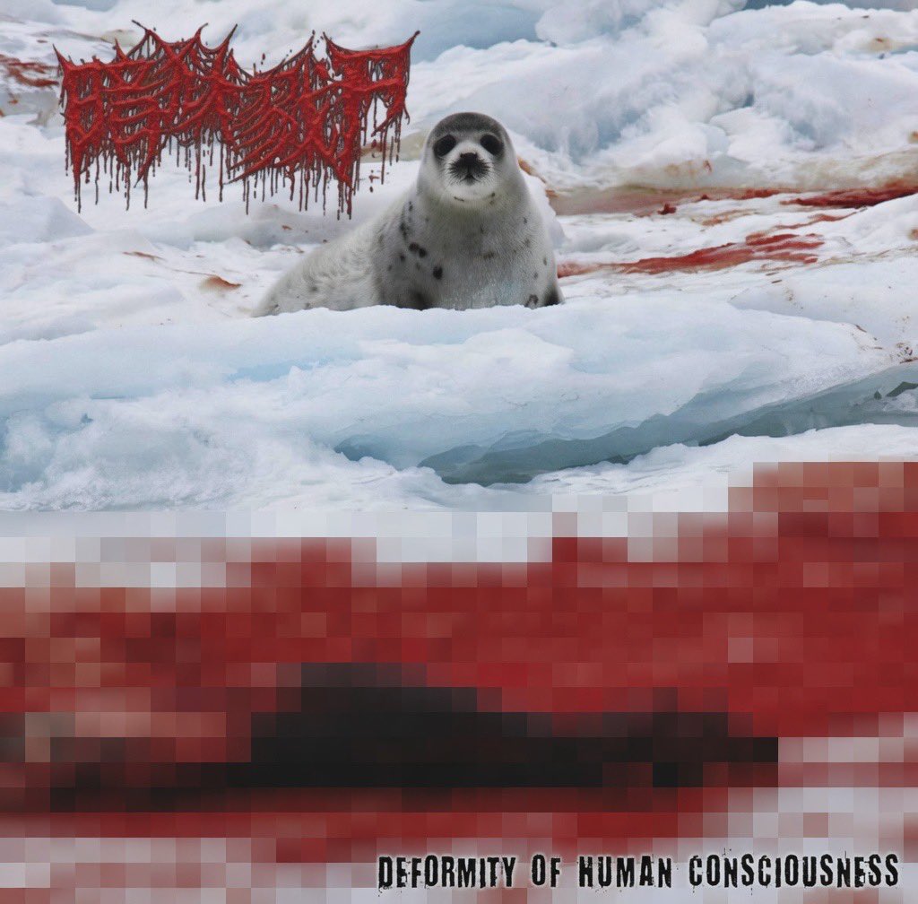 praisegio tweet media