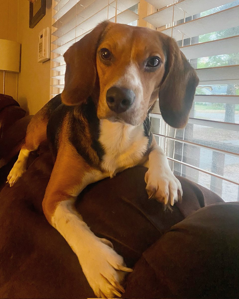 Kyle803_'s tweet photo. @Dearme2_ https://t.co/dzKbiU0lhd