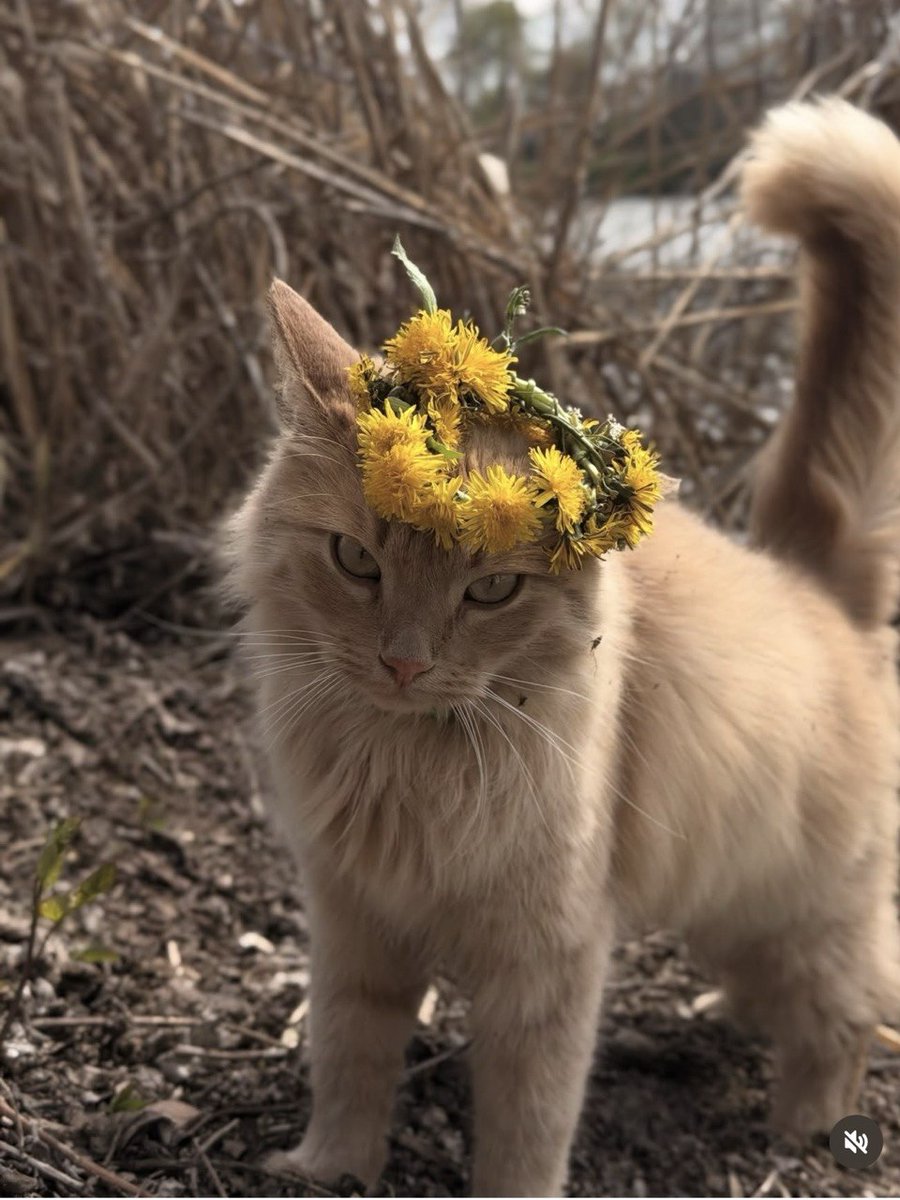 Ой, і не кажіть мені, що ви не додумуєте за своїх коханих, чоловіків 😉 Безпечної ночі. Цьом