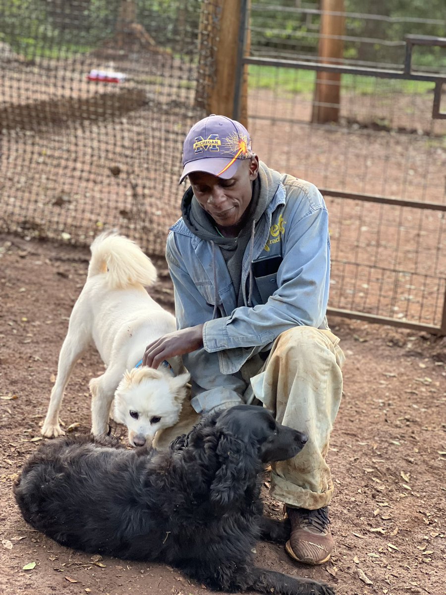 PetsParadiseKE's tweet image. More than care — it’s love🐶❤️

#petcareservices #petlovers #petgrooming #petdaycare #petboarding