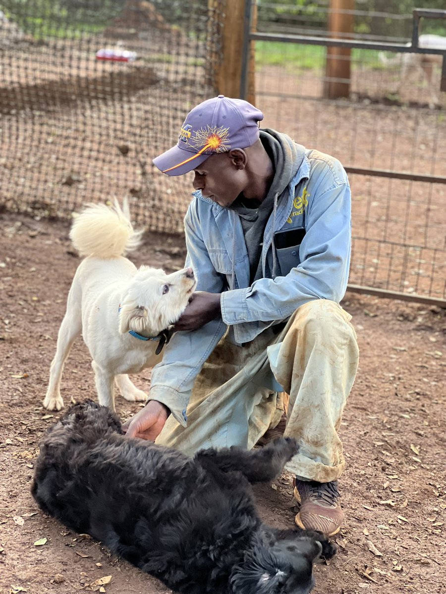 PetsParadiseKE's tweet image. More than care — it’s love🐶❤️

#petcareservices #petlovers #petgrooming #petdaycare #petboarding