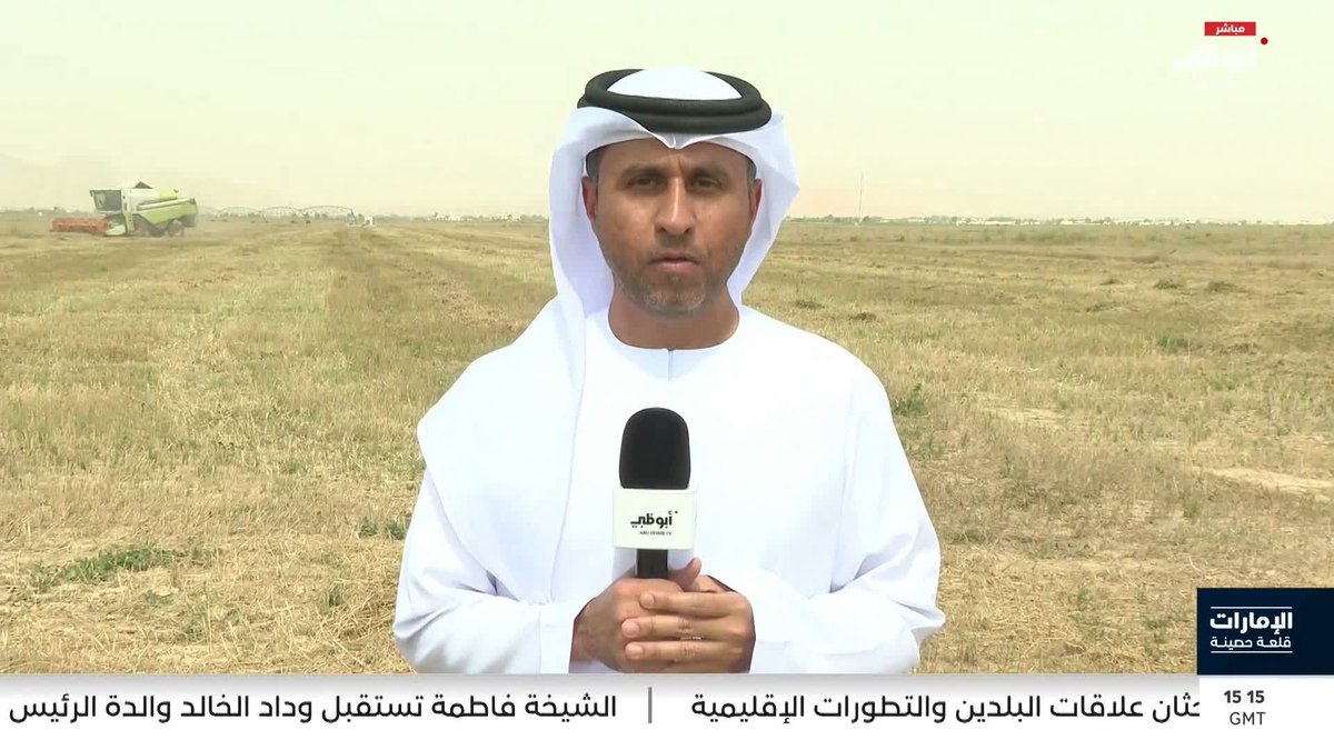 "مزرعة القمح" في مليحة.. موسم رابع من الحصاد على طريق تحقيق الاكتفاء الذاتي. تقرير: أحمد الطنيجي #الإمارات_قلعة_حصينة 