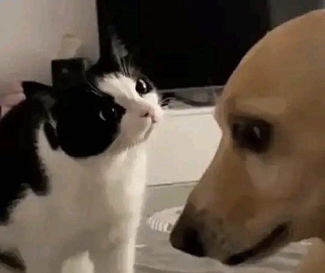 Los medios diciendo que están disgustados por la postura de Yoongi al esquivar sus camaras y que no les ha dado ni una sola foto de su rostro en los aeropuertos, no saluda ni habla con ellos.