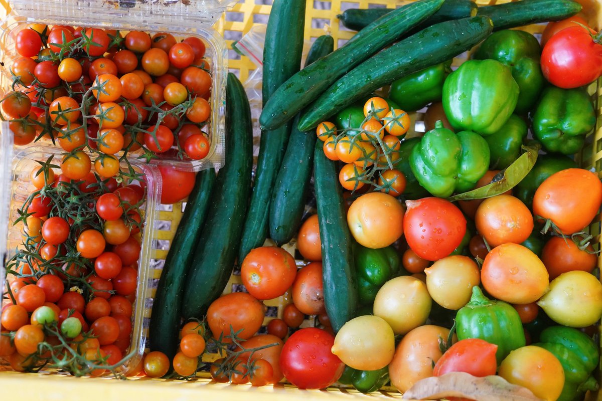 WFP Mali tweet media