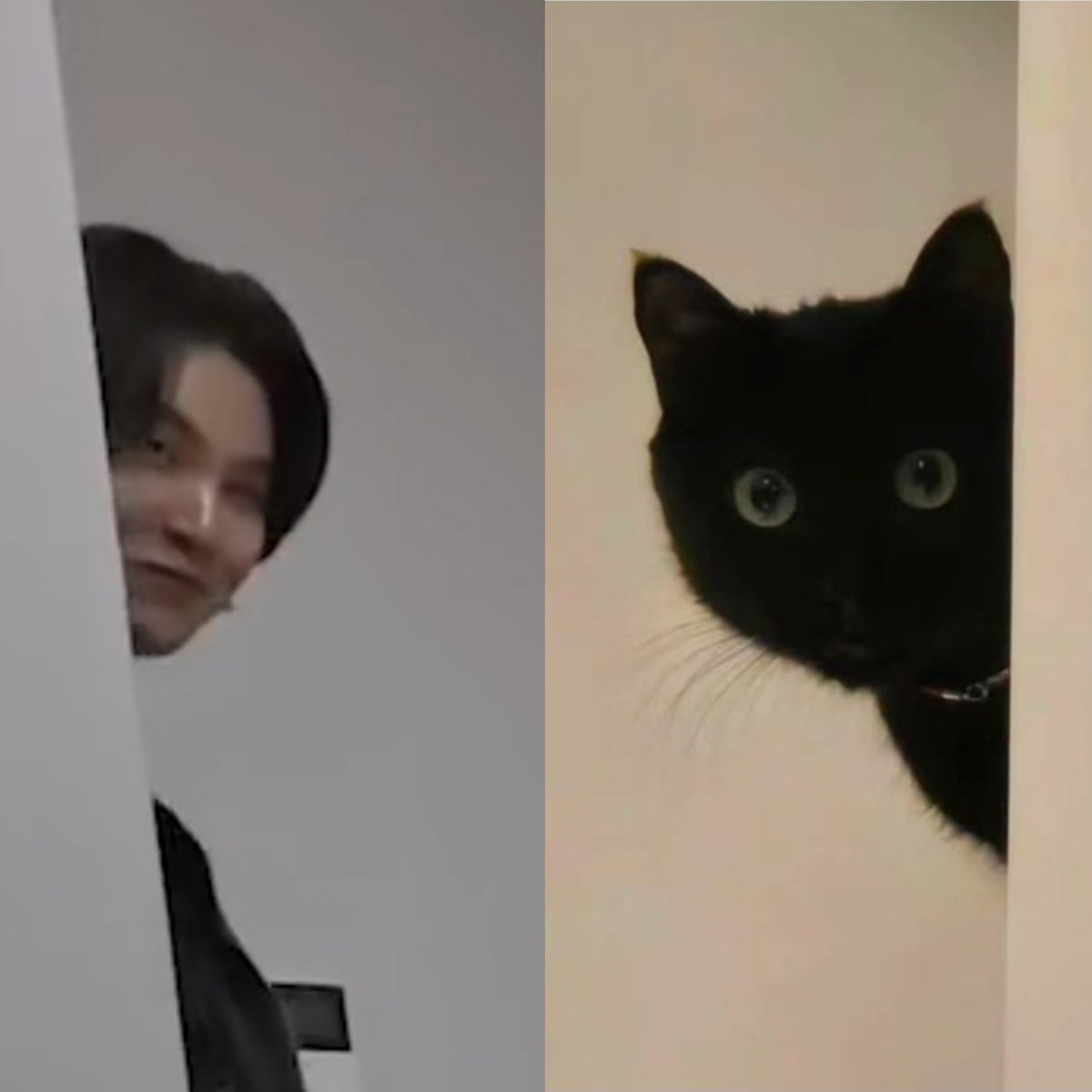 율리⁷ ∞♡♪ tweet media