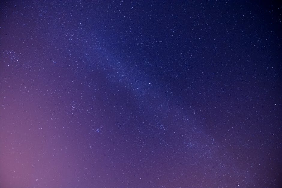 Kelsey Kelly tweet media