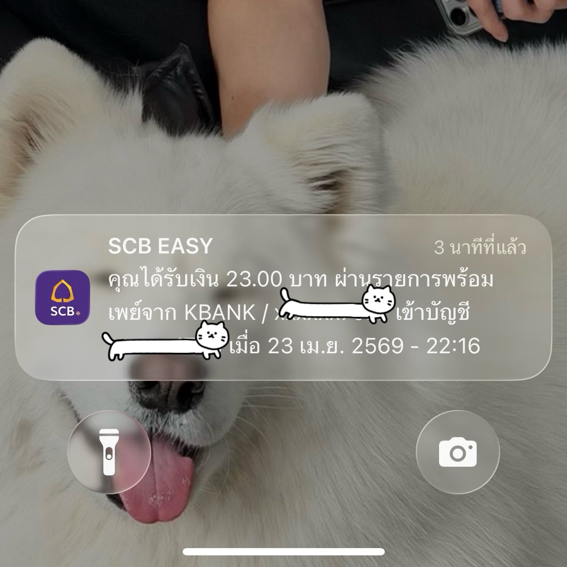 คุณหนูฟอนอแสนซน tweet media