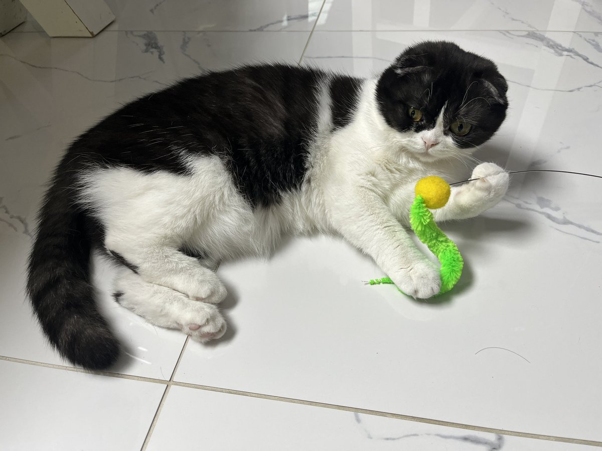 🇰🇷Kimsk🎭 tweet media