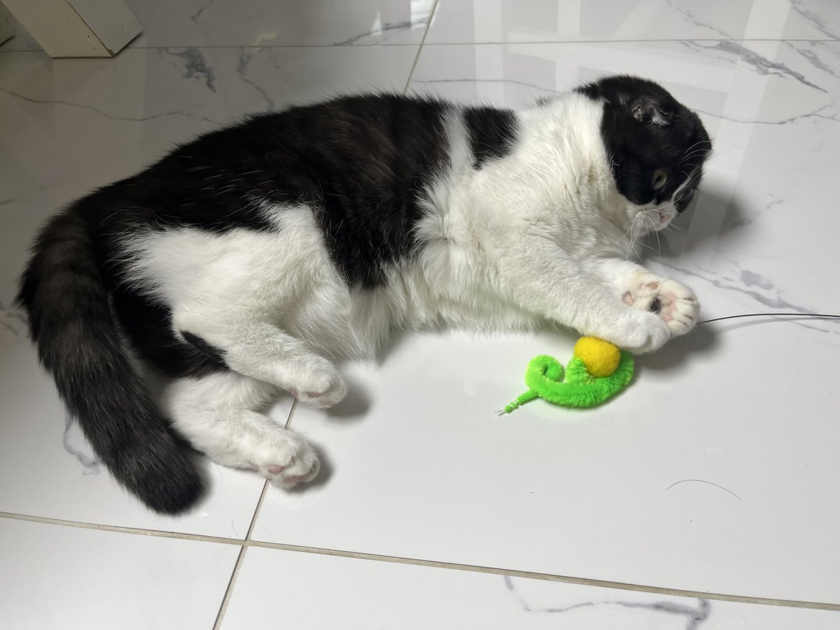 🇰🇷Kimsk🎭 tweet media