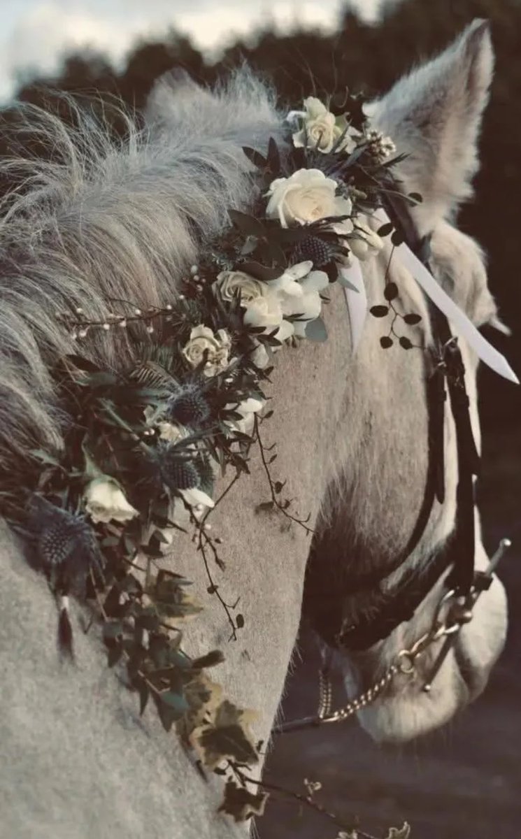 شوق💎بنت الحضارم tweet media