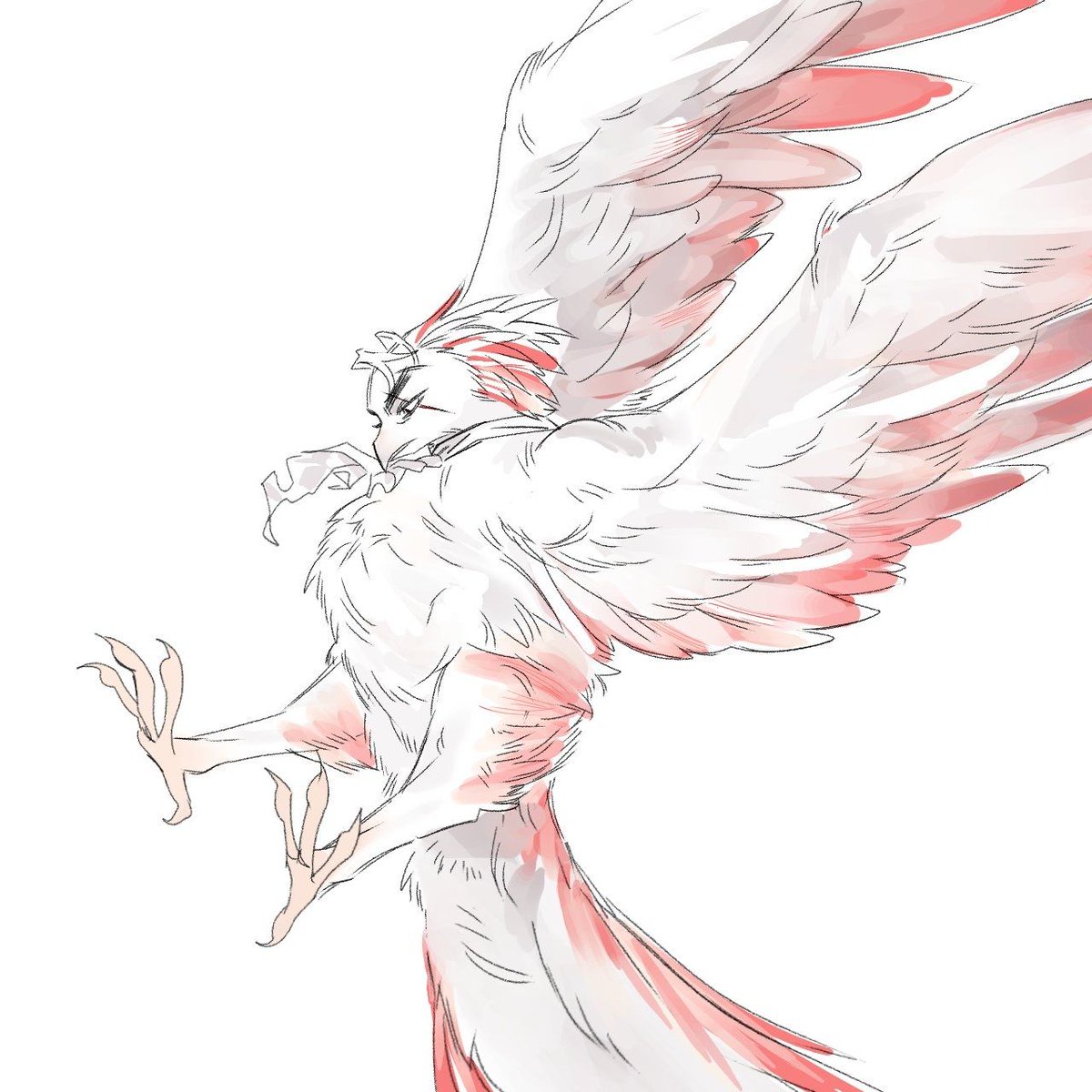 gimhalu74463701's tweet photo. #angboart 생존신고겸 조류앵 모아올리기~! https://t.co/3cPUFjzay3