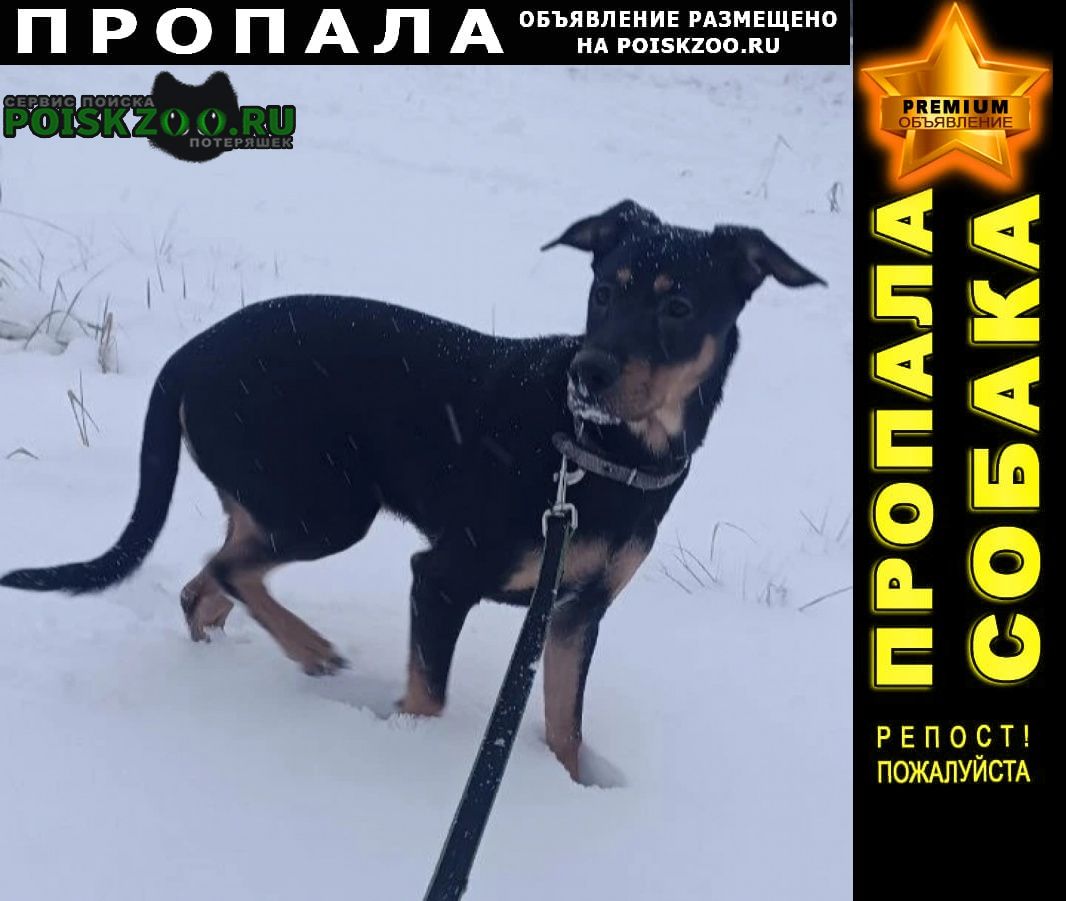 POISKZOO.RU™ tweet media